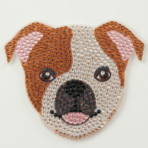 DIAMOND FIX�i�_�C�������h�t�B�b�N�X�j �� Dog�iD�j �R�[�X�^�[�L�b�g�@�_�C�������h�A�[�g