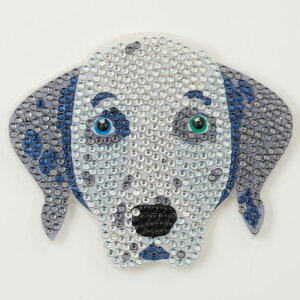 DIAMOND FIX�i�_�C�������h�t�B�b�N�X�j �� Dog�iF�j �R�[�X�^�[�L�b�g�@�_�C�������h�A�[�g