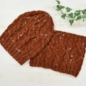 @Lbg@_CƃP[u͗l̖XqƃXk[h@KT-2