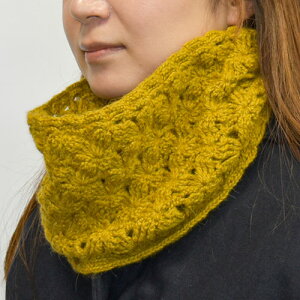 @Lbg@ni~YL̃Xk[h@KT-3