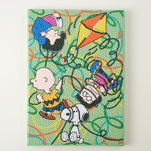 DIAMOND FIXi_ChtBbNXj@PEANUTS Xk[s[iSNOOPYj@TANGLED KITE@_ChA[g@Lbg