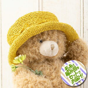 IpX ƃũ{nbgiLbYj ZbgiV|bg2ʁEҐ}j