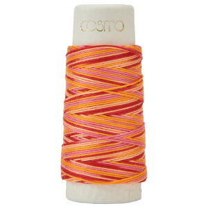 VA@RX@hq@hidamari(q_})@}`J[@30m@No.89-301 Ă̑z