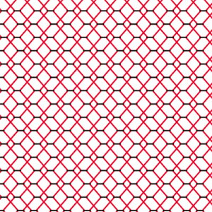 IpX@hq@h@Ԃӂ@zpbN@ij@iʔj