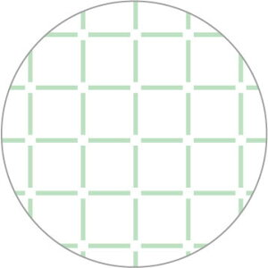 _}(c)@hqӂ@ڎh@ڊiqyziʔj