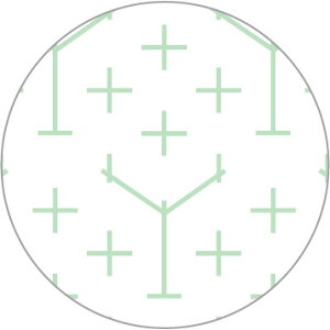 _}(c)@hqӂ@ڎh@ԑyziʔj