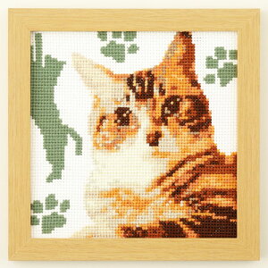 IpX@킢Aj}@NXXeb`hイLbg@lR(AJEV[gwA)