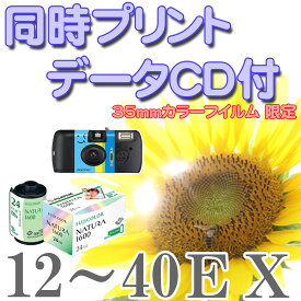 【メール便に限り送料無料：送料はご注文後修正致します】カラーフイルム現像（フィルム現像・ネガ現像）【同時プリント・データCD書込み・インデックス付】使い捨てカメラ 【ハーフサイズで撮影された場合は、400円の追加料金がかかります】