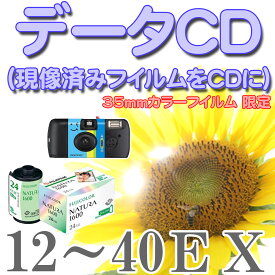 楽天市場 使い捨てカメラ 現像 プリントの通販 楽天市場 使い捨てカメラ 現像 プリントの通販
