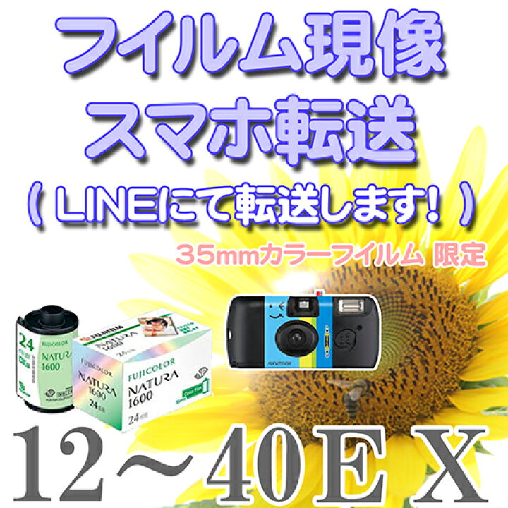 楽天市場】【メール便に限り送料無料：追跡可能メール便は対象外です 