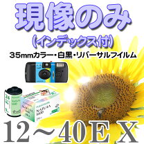楽天市場】モノクロ フィルム 現像 セットの通販