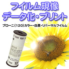 【メール便に限り送料無料：追跡可能メール便は対象外です】ブローニー（120フィルム）のカラー・白黒・リバーサルフイルム現像（フィルム現像・ネガ現像）【現像・プリント・データ化・インデックス付】