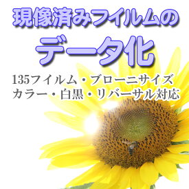 【2本以上のご注文でメール便に限り送料無料：追跡可能メール便は対象外です】現像済みのネガ（フイルム）をデータ（CD−R）に変換 デジタル化 （ フイルム現像済み ネガ現像済み フィルム現像済み 使い捨てカメラ ）