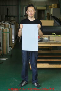 yP/izVRSV[g(FF / F@݁F3mm/5mmIj@Ɏ኱̃ocL܂