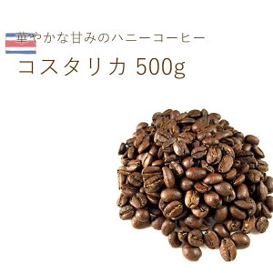 ȕ R[q[ RX^J Jf[W nj[ 500g(250g×2) XyVeB VO M[R[q[  X   