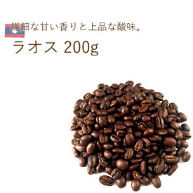 丘の上珈琲 コーヒー豆 ラオス ティピカ 200g 自然農法 シングルオリジン 自社焙煎 専門店 こだわり レギュラーコーヒー 生豆 メール便