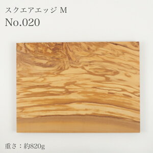 yʔ̔z_Xzc I[u XNGAGbW M No.020