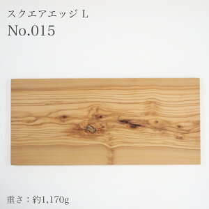 yʔ̔z_Xzc I[u XNGAGbW L No.015