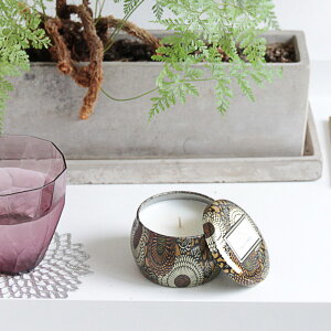 VOLUSPA JAPONICA �e�B���L�����h�� S �o���e�B�b�N�A���o�[