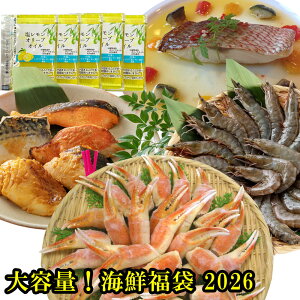 _1~N[|^yCN 2026z I  Jj  \tgVFVv Gr CV ^  Ă Ă Zbg O  ^pbN ӎ ւ̂J 