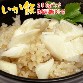 イカ 切り身 たっぷり 炊き込みご飯【いかの炊き込みご飯 3合炊き 濃縮つゆ付】冷凍 切り身250g イカ飯 セット おうちごはん 買い置き 一人暮らし お取り寄せ 簡単 便利 やみつきご飯 晩ごはん 献立 惣菜 新生活 ごちそう 興洋フリーズ