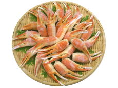 楽天市場 素材 魚種など 海鮮問屋 おさむ