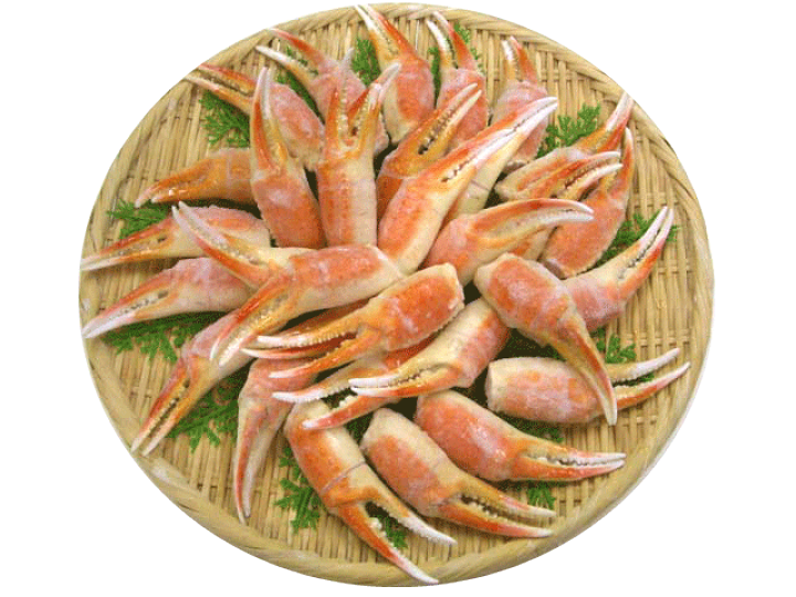 楽天市場 送料無料 ずわいがに爪 １ｋｇ ボイル 冷凍 リングカット済み お子様でも食べやすい 21 25個入り バターソテー 焼きカニ ズワイカニ 蟹 フライ 鍋 かにしゃぶ かに好き 酒の肴 おつまみ 皿鉢料理 おせち オードブル レンチン可 興洋フリーズ 高知の海鮮問屋