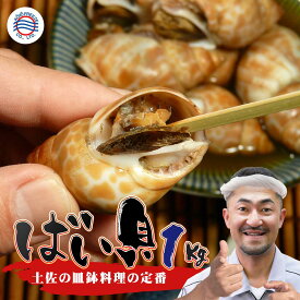 送料無料 おつまみ 貝【ばい貝 1kg】生冷凍 ビール 日本酒 焼酎 バイ貝 酒の肴 お酒 お父さん 高知の皿鉢料理 貝好き 皿鉢 定番 旨煮 料理 和食レストラン 居酒屋 前菜 折詰め お弁当 食材 食品 甘辛煮 興洋フリーズ