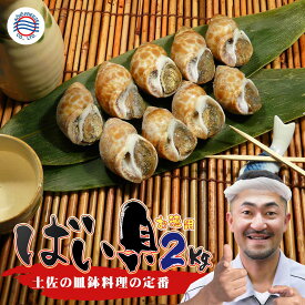 送料無料 大容量 おつまみ 貝【ばい貝 2kg】生冷凍 熨斗 ビール 日本酒 焼酎 お酒 料理 お父さん バイ貝 酒の肴 高知の皿鉢料理 貝好き 旨煮 料理 和食 海鮮 贈答 食べ物 居酒屋 前菜 折詰め 甘辛煮 興洋フリーズ