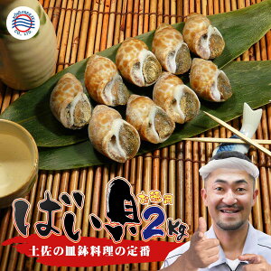  e ܂ Ly΂L 2kgzⓀ l r[ { Ē    oCL ̍ m̎M LD |  aH CN  Hו  O ܋l 