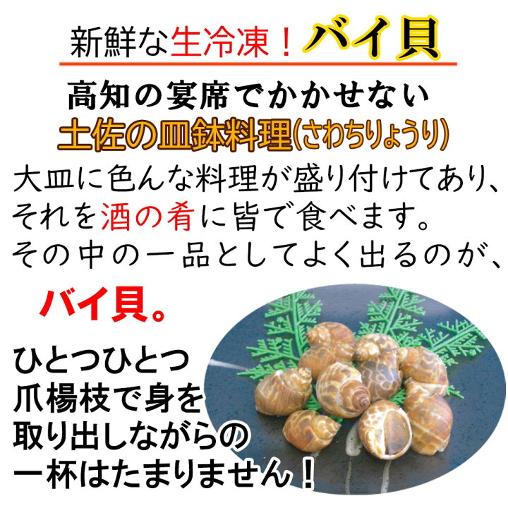 楽天市場 ポイント10倍 お買い物マラソン 送料無料 大容量でお買い得 ばい貝 ２ｋｇ 生冷凍 ビール 日本酒 焼酎 お酒 おつまみ 貝 料理 お父さん バイ貝 酒の肴 高知の皿鉢料理 貝好き 皿鉢 定番 旨煮 料理 和食レストラン 居酒屋 前菜 折詰め お弁当 甘辛煮 興洋