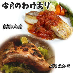 Y y̖󂠂 VRԂ̂܂Ɛ^̐ؐgzĂ W ȒP y  t t 󂠂 Ⓚ Hi Hו ٓ lO ؂g