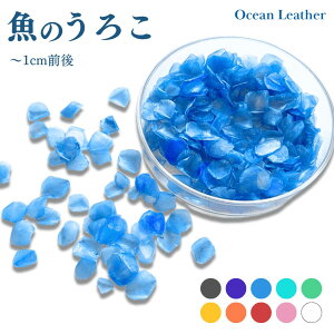 yER fށzY    VRf W nhCh | lC  ANZT[ p[c sAX CO uXbg `[ H Ntg ۈ }H A[g ޗ 10F 10