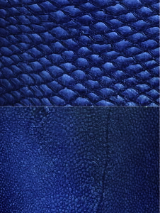  tBbVU[  U[ v Ntg ޗ n U[NtguS19Fvv| v׍H v͂ }_CU[ ^CU[ uU[ nhCh I[VU[ OceanLe