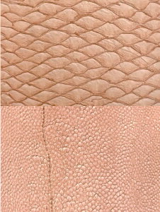  tBbVU[  U[ v Ntg ޗ n U[NtguS19Fvv| v׍H v͂ }_CU[ ^CU[ uU[ nhCh I[VU[ OceanLe