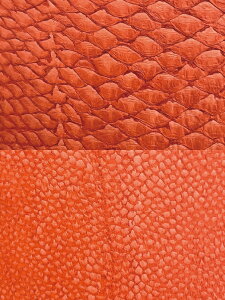  tBbVU[  U[ v Ntg ޗ n U[NtguS19Fvv| v׍H v͂ }_CU[ ^CU[ uU[ nhCh I[VU[ OceanLe