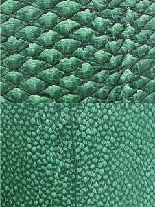  tBbVU[  U[ v Ntg ޗ n U[NtguS19Fvv| v׍H v͂ }_CU[ ^CU[ uU[ nhCh I[VU[ OceanLe