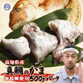 【真鯛のかま 500g】国産 冷凍 食品 お取り寄せ グルメ 出汁 カマ 不揃い おくいぞめ おくいはじめ 100日祝い かま あら 魚 甘い 焼き物 煮物 貴重部位 居酒屋 高知の塩 酒の肴 マダイ お正月 御祝い 魚介類 縁起 日本酒 ビール おつまみ 鯛 食品 家庭用 めでたい 鯛