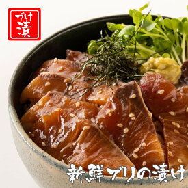 父の日 ギフト 2024 日本酒 ビール 焼酎 おつまみ ブリ 送料無料【ぶりの漬け丼の素 一人前 80g×5P】冷凍 食品 5食 小分け 御礼 お祝い 丼 国産 高知 鰤 ぶり 海鮮 お取り寄せ グルメ レシピ付 酒の肴 簡単 便利 手軽 保存食 買い置き 自然解凍 海鮮丼