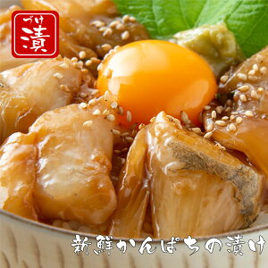 hV̓ j Mtg ܂ Jp` yςЂ̑f lO 80g×5PzⓀ Hi 5H  pbN a   Y m Vst Jp`  CN  