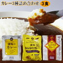 1000円ぽっきり 送料無料 メール便 カレー レトルト 創味カレー 3種 3食 詰め合わせ セット 業務用 ポイント消化 買いまわり お取り寄せグルメ 食品 通販 長期保存 保存食 常温保存 おかず 惣菜 時短 簡単 レトルトカレー