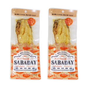  m lgySABADAY  ĂTo Iׂ2܃Zbgz I To aH T_ I pX^   ܂ ȒP ֗ Z sv ܂ y  X[N I Hi 