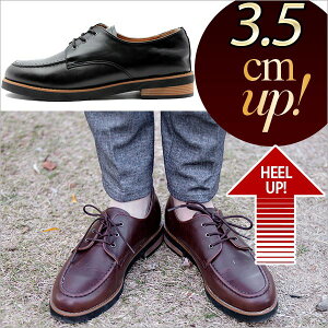 y3.5cm Abvz Y Xj[J[ tFCNU[ Xj[J[ Y Xj[J[ YC [XAbv YC V[Y Y fbLV[Y