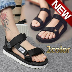  xN X|[cT_ fB[X Y X|[c T_ Xgbv zCg ubN ₷  ؂ X|[c C tbg