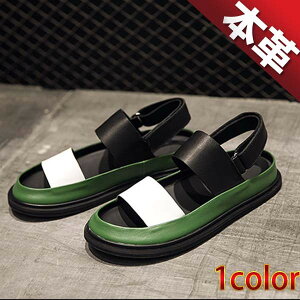 y4cm gUPz  Y T_ X|[cT_ OfBG[^[  xg {v W[ }WbNe[v