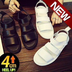 T_ Y fB[X {v OfBG[^[  xg obN W[ _uxg t 