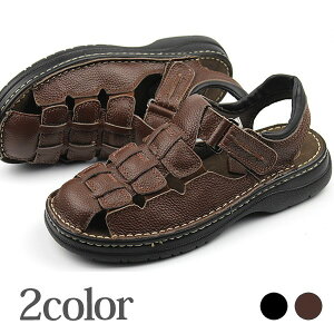  T_ Y fB[X U[{v 傫TCY   JWA C ubN uE