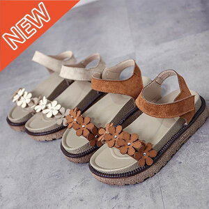  fB[X T_ t[  JWA Vv Xgbv Ȃ uE zCg