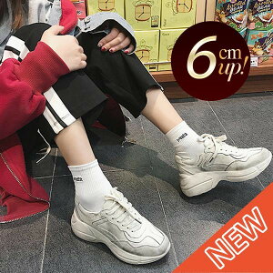 fB[X Xj[J[ _[WH [Jbg zCg JWA X|[c Xg[g Ȃ ₷ 