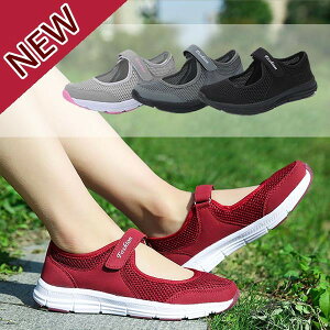  fB[X ʋC bV y VjA EH[LOV[Y Ȃ ₷ bh ubN O[ CgO[